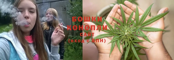 spice Елизово