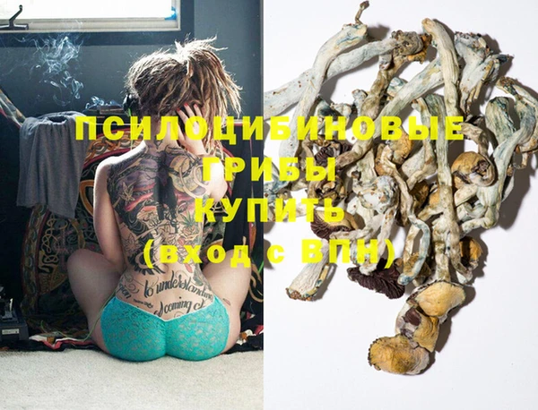 spice Елизово