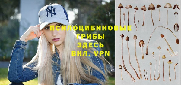 spice Елизово