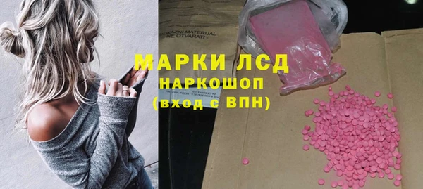 spice Елизово