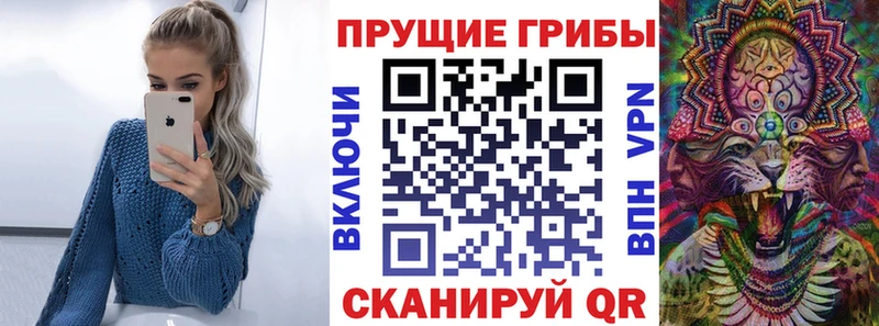 Псилоцибиновые грибы GOLDEN TEACHER  OMG   Заозёрный 